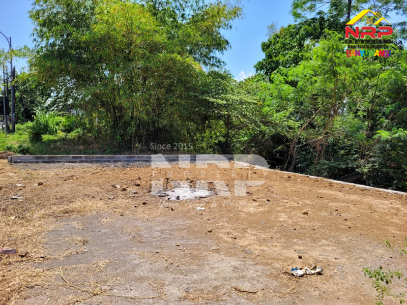 Dijual Tanah tepi jalan di Lemahbangdewo - Rogojampi Dijual Tanah tepi jalan di Lemahbangdewo - Rogojampi Dijual Tanah tepi jalan di Lemahbangdewo - Rogojampi
Tanah yang siap jadi peluang bisnis baru. Akse 0 Jl. Lemahbang Rogojampi&nbsp;

Luas Tanah 105 NRP BANYUWANGI