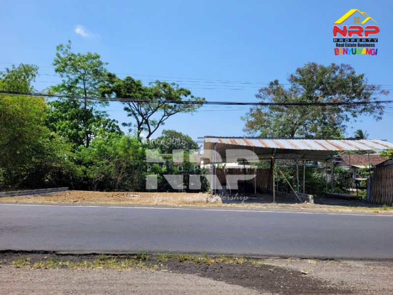 Dijual Tanah tepi jalan di Lemahbangdewo - Rogojampi Dijual Tanah tepi jalan di Lemahbangdewo - Rogojampi Dijual Tanah tepi jalan di Lemahbangdewo - Rogojampi
Tanah yang siap jadi peluang bisnis baru. Akse 0 Jl. Lemahbang Rogojampi&nbsp;

Luas Tanah 105 NRP BANYUWANGI