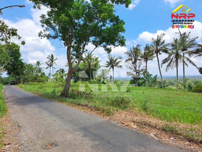 Dijual Tanah tepi Jl. Desa Banjar, Licin - Banyuwangi  Dijual Tanah tepi Jl. Desa Banjar, Licin - Banyuwangi  Dijual Tanah tepi Jl. Desa Banjar, Licin - Banyuwangi&nbsp;
0 Meter Jl. Desa Aspal, View Terasiring sawah, Gunung Raung dan Ranti, City light NRP BANYUWANGI