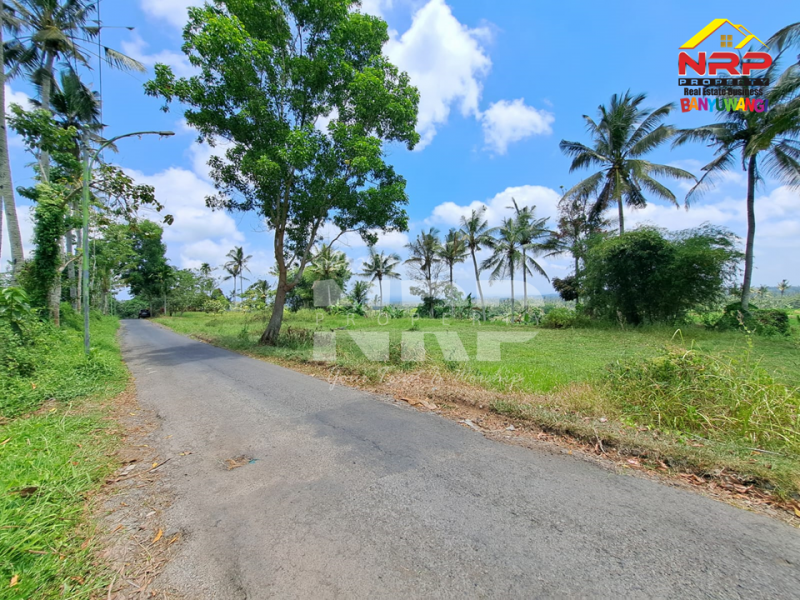 Dijual Tanah tepi Jl. Desa Banjar, Licin - Banyuwangi  Dijual Tanah tepi Jl. Desa Banjar, Licin - Banyuwangi  Dijual Tanah tepi Jl. Desa Banjar, Licin - Banyuwangi&nbsp;
0 Meter Jl. Desa Aspal, View Terasiring sawah, Gunung Raung dan Ranti, City light NRP BANYUWANGI
