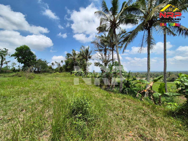 Dijual Tanah tepi Jl. Desa Banjar, Licin - Banyuwangi  Dijual Tanah tepi Jl. Desa Banjar, Licin - Banyuwangi  Dijual Tanah tepi Jl. Desa Banjar, Licin - Banyuwangi&nbsp;
0 Meter Jl. Desa Aspal, View Terasiring sawah, Gunung Raung dan Ranti, City light NRP BANYUWANGI