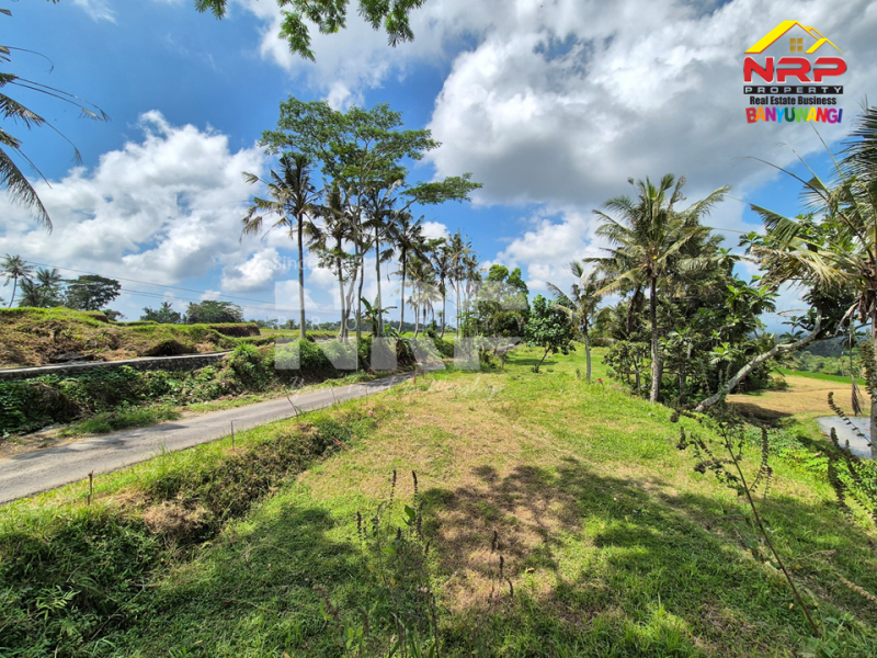 Dijual Tanah tepi Jl. Desa Banjar, Licin - Banyuwangi  Dijual Tanah tepi Jl. Desa Banjar, Licin - Banyuwangi  Dijual Tanah tepi Jl. Desa Banjar, Licin - Banyuwangi&nbsp;
0 Meter Jl. Desa Aspal, View Terasiring sawah, Gunung Raung dan Ranti, City light NRP BANYUWANGI