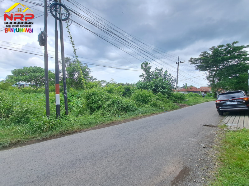 Dijual Tanah Tepi Jl. Ikan Wader Pari, Karangrejo - Banyuwangi  Dijual Tanah Tepi Jl. Ikan Wader Pari, Karangrejo - Banyuwangi  Dijual Tanah Tepi Jl. Ikan Wader Pari, Karangrejo - Banyuwangi&nbsp;
Cocok untuk pengembangan kawasan perumahan, industri atau gudang.&nbsp;

Luas Tanah NRP BANYUWANGI