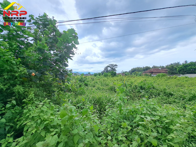 Dijual Tanah Tepi Jl. Ikan Wader Pari, Karangrejo - Banyuwangi  Dijual Tanah Tepi Jl. Ikan Wader Pari, Karangrejo - Banyuwangi  Dijual Tanah Tepi Jl. Ikan Wader Pari, Karangrejo - Banyuwangi&nbsp;
Cocok untuk pengembangan kawasan perumahan, industri atau gudang.&nbsp;

Luas Tanah NRP BANYUWANGI