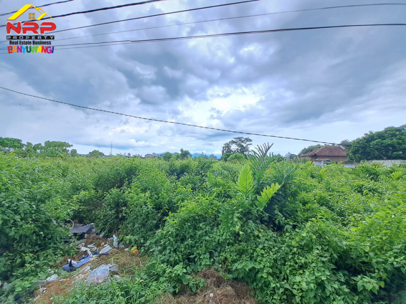 Dijual Tanah Tepi Jl. Ikan Wader Pari, Karangrejo - Banyuwangi  Dijual Tanah Tepi Jl. Ikan Wader Pari, Karangrejo - Banyuwangi  Dijual Tanah Tepi Jl. Ikan Wader Pari, Karangrejo - Banyuwangi&nbsp;
Cocok untuk pengembangan kawasan perumahan, industri atau gudang.&nbsp;

Luas Tanah NRP BANYUWANGI