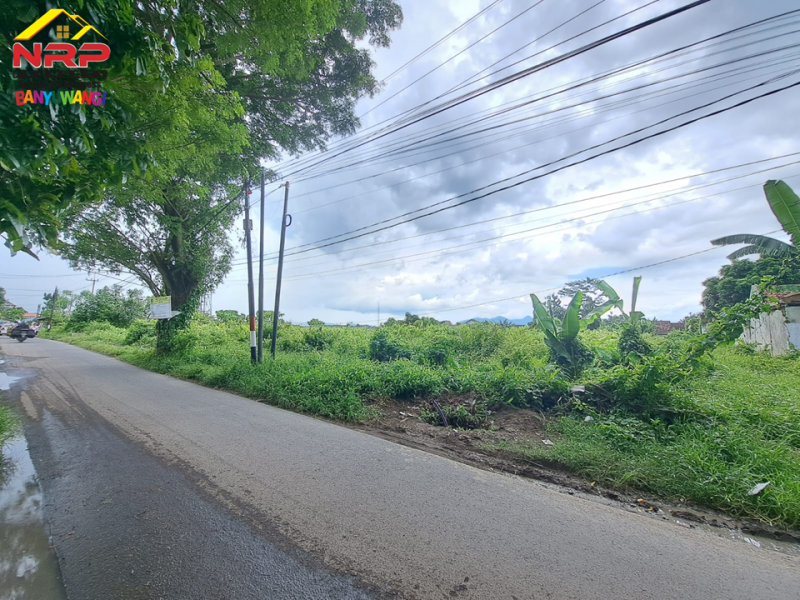 Dijual Tanah Tepi Jl. Ikan Wader Pari, Karangrejo - Banyuwangi  Dijual Tanah Tepi Jl. Ikan Wader Pari, Karangrejo - Banyuwangi  Dijual Tanah Tepi Jl. Ikan Wader Pari, Karangrejo - Banyuwangi&nbsp;
Cocok untuk pengembangan kawasan perumahan, industri atau gudang.&nbsp;

Luas Tanah NRP BANYUWANGI