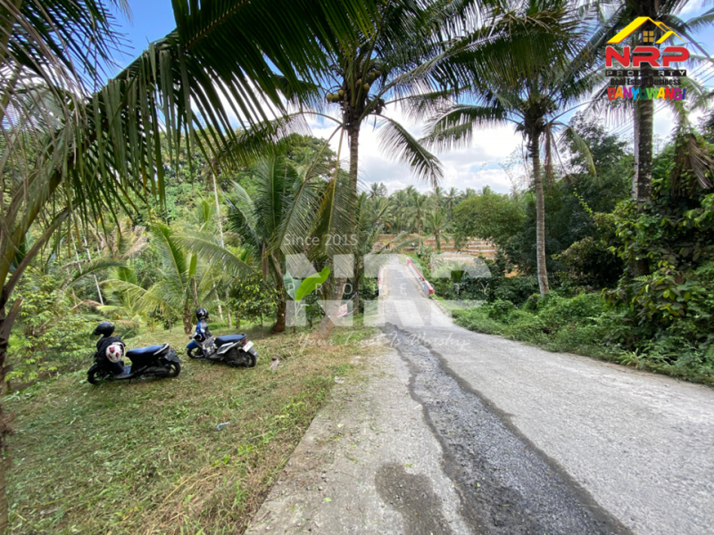 Dijual Tanah tepi Sungai RIVERSIDE LAND FOR SALE di LICIN, BANYUWANGI Dijual tanah murah tepi sungai di Licin Banyuwangi  RIVERSIDE LAND FOR SALE di LICIN, BANYUWANGI ?????
Tanah tepi sungai. Hidden gem di kawasan wisata Licin.
Tanah dengan kontur terasering alami dan berada NRP BANYUWANGI