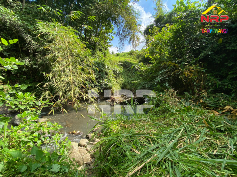 Dijual Tanah tepi Sungai RIVERSIDE LAND FOR SALE di LICIN, BANYUWANGI Dijual tanah murah tepi sungai di Licin Banyuwangi  RIVERSIDE LAND FOR SALE di LICIN, BANYUWANGI ?????
Tanah tepi sungai. Hidden gem di kawasan wisata Licin.
Tanah dengan kontur terasering alami dan berada NRP BANYUWANGI
