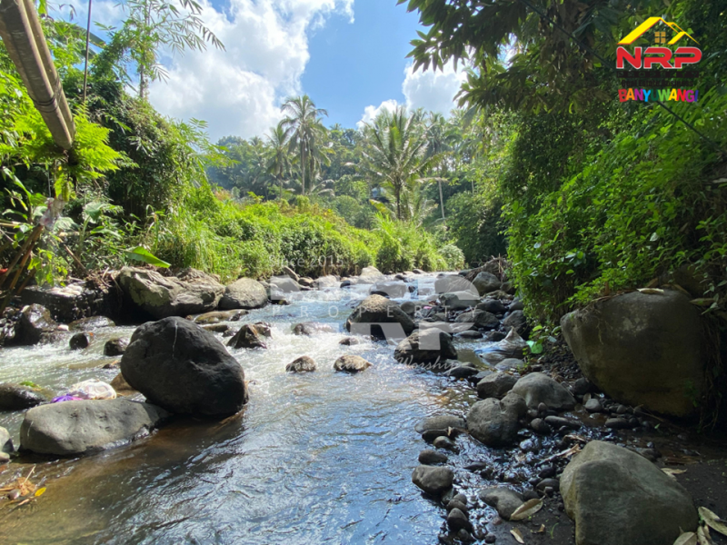 Dijual Tanah tepi Sungai RIVERSIDE LAND FOR SALE di LICIN, BANYUWANGI Dijual tanah murah tepi sungai di Licin Banyuwangi  RIVERSIDE LAND FOR SALE di LICIN, BANYUWANGI ?????
Tanah tepi sungai. Hidden gem di kawasan wisata Licin.
Tanah dengan kontur terasering alami dan berada NRP BANYUWANGI