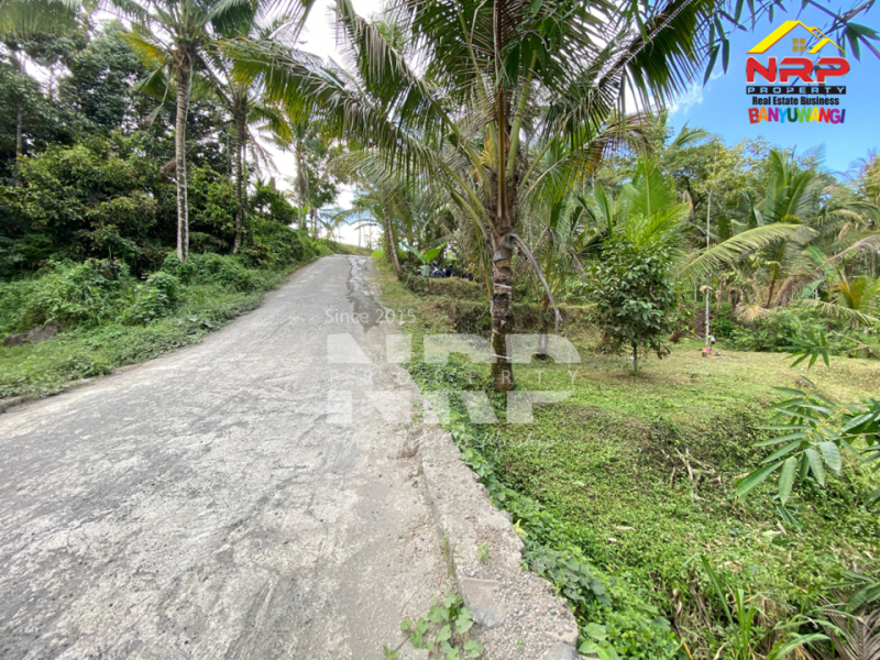 Dijual Tanah tepi Sungai RIVERSIDE LAND FOR SALE di LICIN, BANYUWANGI Dijual tanah murah tepi sungai di Licin Banyuwangi  RIVERSIDE LAND FOR SALE di LICIN, BANYUWANGI ?????
Tanah tepi sungai. Hidden gem di kawasan wisata Licin.
Tanah dengan kontur terasering alami dan berada NRP BANYUWANGI