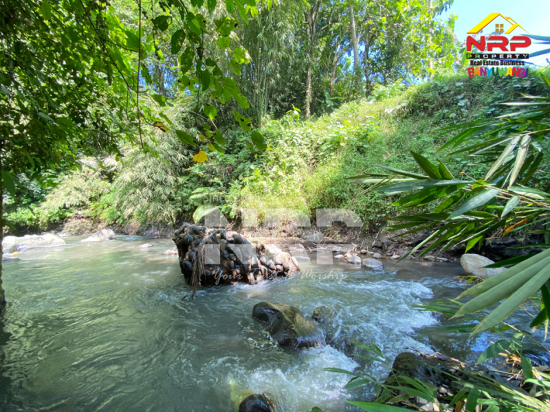 Dijual Tanah tepi Sungai RIVERSIDE LAND FOR SALE di LICIN, BANYUWANGI Dijual tanah murah tepi sungai di Licin Banyuwangi  RIVERSIDE LAND FOR SALE di LICIN, BANYUWANGI ?????
Tanah tepi sungai. Hidden gem di kawasan wisata Licin.
Tanah dengan kontur terasering alami dan berada NRP BANYUWANGI