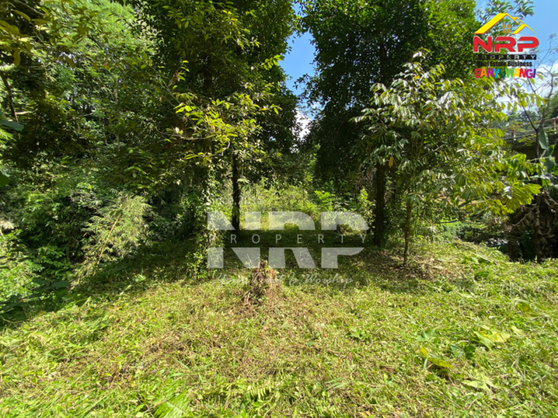 Dijual Tanah tepi Sungai RIVERSIDE LAND FOR SALE di LICIN, BANYUWANGI Dijual tanah murah tepi sungai di Licin Banyuwangi  RIVERSIDE LAND FOR SALE di LICIN, BANYUWANGI ?????
Tanah tepi sungai. Hidden gem di kawasan wisata Licin.
Tanah dengan kontur terasering alami dan berada NRP BANYUWANGI
