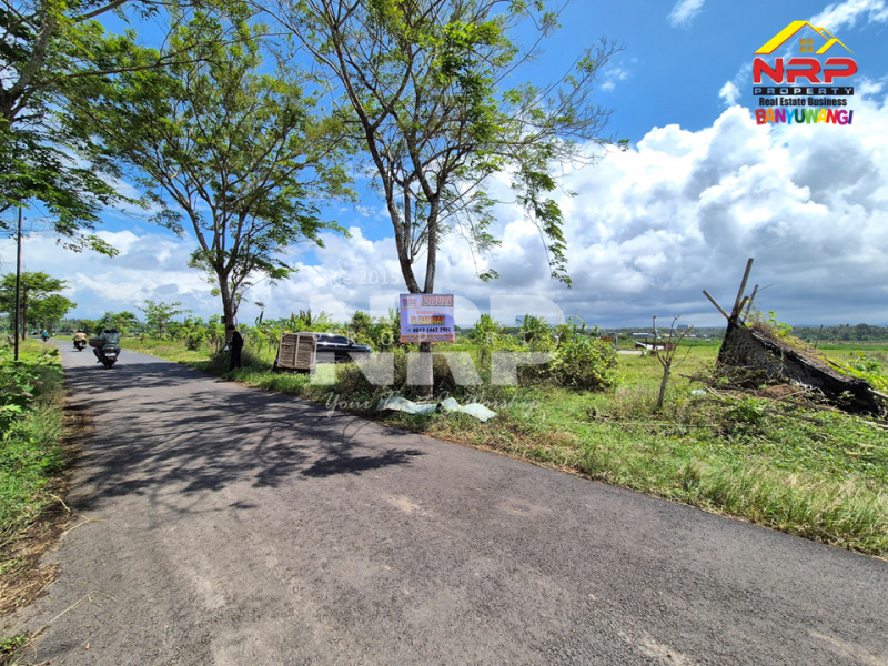 Dijual Tanah View Persawahan di Pondoknongko, Kabat - Banyuwangi  Dijual Tanah View Persawahan di Pondoknongko, Kabat - Banyuwangi  Dijual Tanah View Persawahan di Pondoknongko, Kabat - Banyuwangi&nbsp;
Tanah sudah bersertipikat, Siap bangun. Cocok untuk rumah vibes pedesaan dan NRP BANYUWANGI