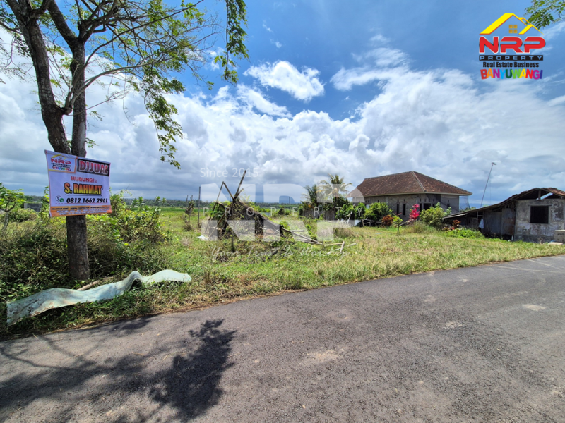 Dijual Tanah View Persawahan di Pondoknongko, Kabat - Banyuwangi  Dijual Tanah View Persawahan di Pondoknongko, Kabat - Banyuwangi  Dijual Tanah View Persawahan di Pondoknongko, Kabat - Banyuwangi&nbsp;
Tanah sudah bersertipikat, Siap bangun. Cocok untuk rumah vibes pedesaan dan NRP BANYUWANGI