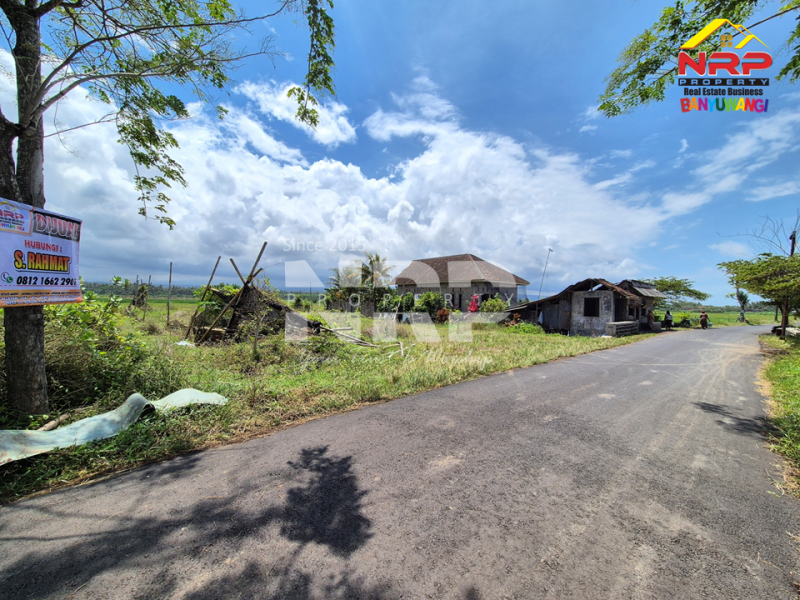 Dijual Tanah View Persawahan di Pondoknongko, Kabat - Banyuwangi  Dijual Tanah View Persawahan di Pondoknongko, Kabat - Banyuwangi  Dijual Tanah View Persawahan di Pondoknongko, Kabat - Banyuwangi&nbsp;
Tanah sudah bersertipikat, Siap bangun. Cocok untuk rumah vibes pedesaan dan NRP BANYUWANGI