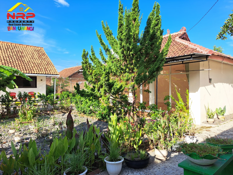 Dijual Villa Classic Strategis 100 Meter dari Jl. Yos Sudarso - Banyuwangi  Dijual Villa Classic Strategis 100 Meter dari Jl. Yos Sudarso - Banyuwangi  Dijual Villa Classic Strategis 100 Meter dari Jl. Yos Sudarso - Banyuwangi&nbsp;
Berada 500 meter dari Kawasan Pantai Cacalan Asri.&nbsp;
Akses jln roda NRP BANYUWANGI