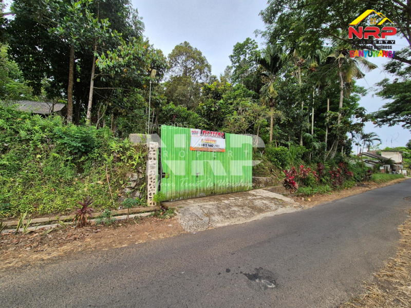 DIJUAL VILLA + KEBUN LUAS di Desa Jelun - Banyuwangi DIJUAL VILLA + KEBUN LUAS di Desa Jelun - Banyuwangi DIJUAL VILLA + KEBUN LUAS di Desa Jelun - Banyuwangi
Privasi terjaga, udara segar, lahan lega untuk taman, kolam renang, atau bahkan mini farm pribadi.
View NRP BANYUWANGI