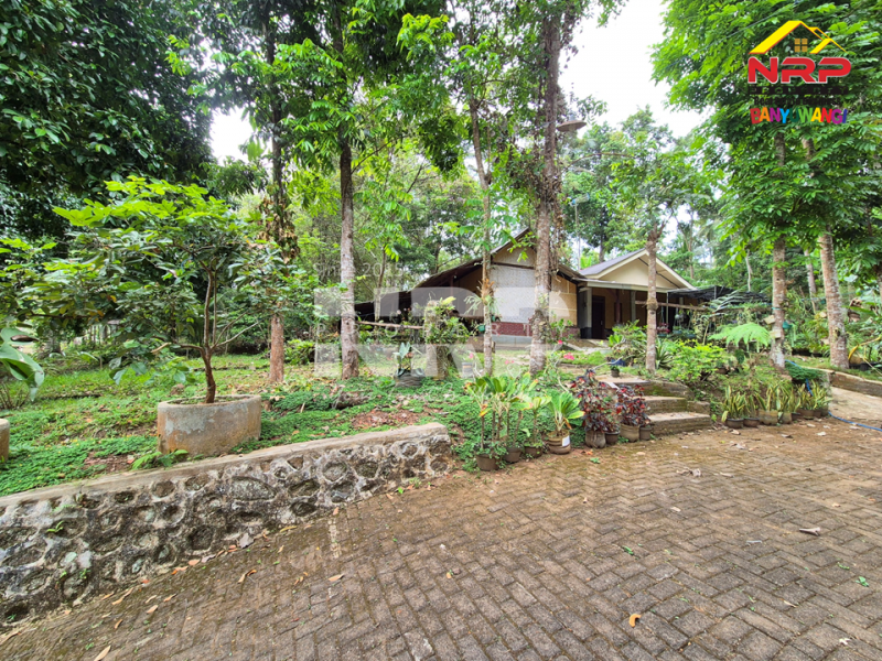 DIJUAL VILLA + KEBUN LUAS di Desa Jelun - Banyuwangi DIJUAL VILLA + KEBUN LUAS di Desa Jelun - Banyuwangi DIJUAL VILLA + KEBUN LUAS di Desa Jelun - Banyuwangi
Privasi terjaga, udara segar, lahan lega untuk taman, kolam renang, atau bahkan mini farm pribadi.
View NRP BANYUWANGI
