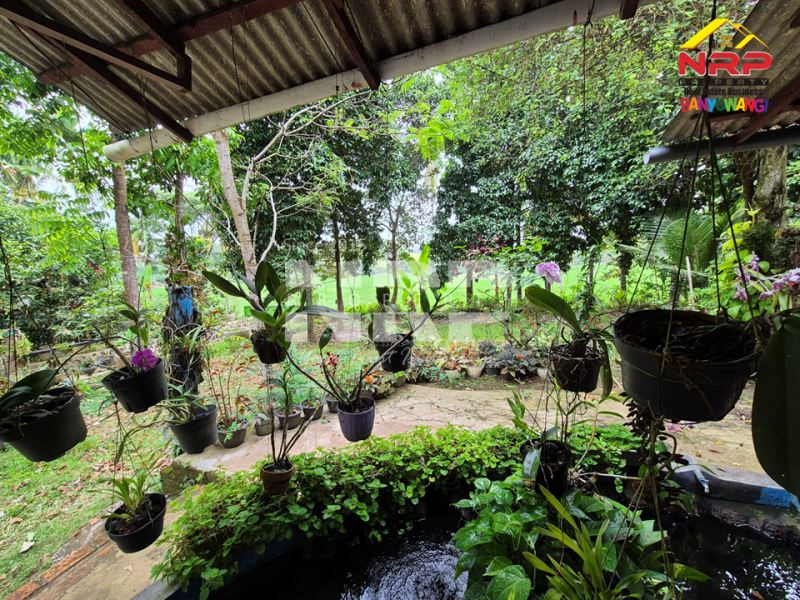 DIJUAL VILLA + KEBUN LUAS di Desa Jelun - Banyuwangi DIJUAL VILLA + KEBUN LUAS di Desa Jelun - Banyuwangi DIJUAL VILLA + KEBUN LUAS di Desa Jelun - Banyuwangi
Privasi terjaga, udara segar, lahan lega untuk taman, kolam renang, atau bahkan mini farm pribadi.
View NRP BANYUWANGI