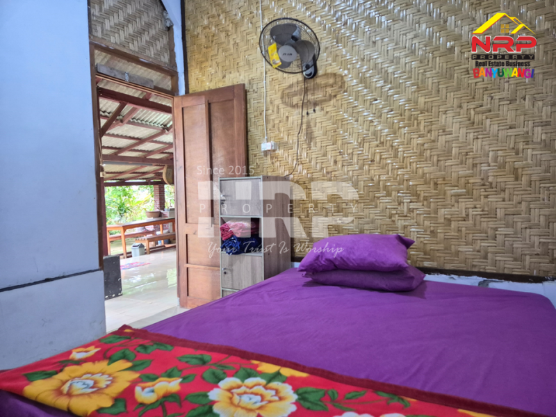 DIJUAL VILLA + KEBUN LUAS di Desa Jelun - Banyuwangi DIJUAL VILLA + KEBUN LUAS di Desa Jelun - Banyuwangi DIJUAL VILLA + KEBUN LUAS di Desa Jelun - Banyuwangi
Privasi terjaga, udara segar, lahan lega untuk taman, kolam renang, atau bahkan mini farm pribadi.
View NRP BANYUWANGI