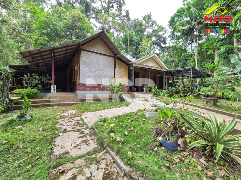 DIJUAL VILLA + KEBUN LUAS di Desa Jelun - Banyuwangi DIJUAL VILLA + KEBUN LUAS di Desa Jelun - Banyuwangi DIJUAL VILLA + KEBUN LUAS di Desa Jelun - Banyuwangi
Privasi terjaga, udara segar, lahan lega untuk taman, kolam renang, atau bahkan mini farm pribadi.
View NRP BANYUWANGI