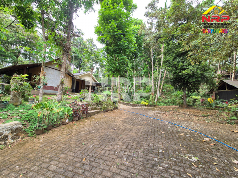 DIJUAL VILLA + KEBUN LUAS di Desa Jelun - Banyuwangi DIJUAL VILLA + KEBUN LUAS di Desa Jelun - Banyuwangi DIJUAL VILLA + KEBUN LUAS di Desa Jelun - Banyuwangi
Privasi terjaga, udara segar, lahan lega untuk taman, kolam renang, atau bahkan mini farm pribadi.
View NRP BANYUWANGI