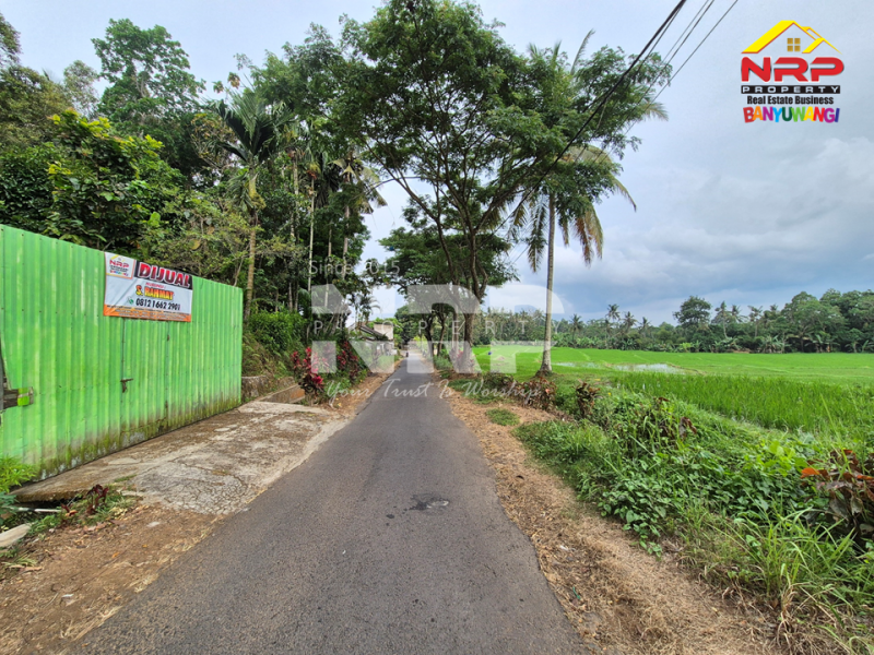 DIJUAL VILLA + KEBUN LUAS di Desa Jelun - Banyuwangi DIJUAL VILLA + KEBUN LUAS di Desa Jelun - Banyuwangi DIJUAL VILLA + KEBUN LUAS di Desa Jelun - Banyuwangi
Privasi terjaga, udara segar, lahan lega untuk taman, kolam renang, atau bahkan mini farm pribadi.
View NRP BANYUWANGI