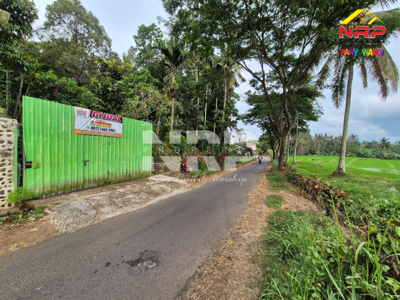 DIJUAL VILLA + KEBUN LUAS di Desa Jelun - Banyuwangi DIJUAL VILLA + KEBUN LUAS di Desa Jelun - Banyuwangi DIJUAL VILLA + KEBUN LUAS di Desa Jelun - Banyuwangi
Privasi terjaga, udara segar, lahan lega untuk taman, kolam renang, atau bahkan mini farm pribadi.
View NRP BANYUWANGI
