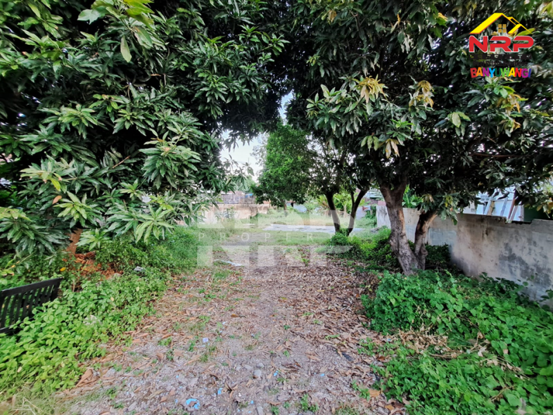 Dijual/Disewakan Tanah Kavling Sangat Strategis Di Dekat RSUD Banyuwangi  Dijual/Disewakan Tanah Kavling Sangat Strategis Di Dekat RSUD Banyuwangi  Dijual&nbsp;Tanah Kavling Sangat Strategis Di Dekat RSUD Banyuwangi&nbsp;
Lokasi Strategis Cocok Untuk Investasi, dibangun Rumah Kos, Home Stay, Rumah&nbsp; NRP BANYUWANGI