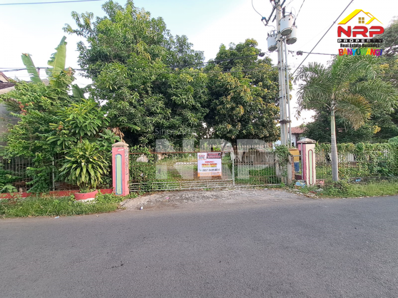 Dijual/Disewakan Tanah Kavling Sangat Strategis Di Dekat RSUD Banyuwangi  Dijual/Disewakan Tanah Kavling Sangat Strategis Di Dekat RSUD Banyuwangi  Dijual&nbsp;Tanah Kavling Sangat Strategis Di Dekat RSUD Banyuwangi&nbsp;
Lokasi Strategis Cocok Untuk Investasi, dibangun Rumah Kos, Home Stay, Rumah&nbsp; NRP BANYUWANGI