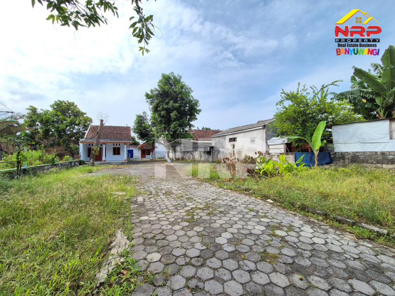 Disewakan 3 Unit Rumah + 1 Gudang di Depan SD Model Banyuwangi  Disewakan 3 Unit Rumah + 1 Gudang di Depan SD Model Banyuwangi  Disewakan 3 Unit Rumah + 1 Gudang di Depan SD Model Banyuwangi&nbsp;
Lokasi Sangat Strategis dekat dengan Fasilitas Pendidikan, Pusat Bisnis, dan NRP BANYUWANGI