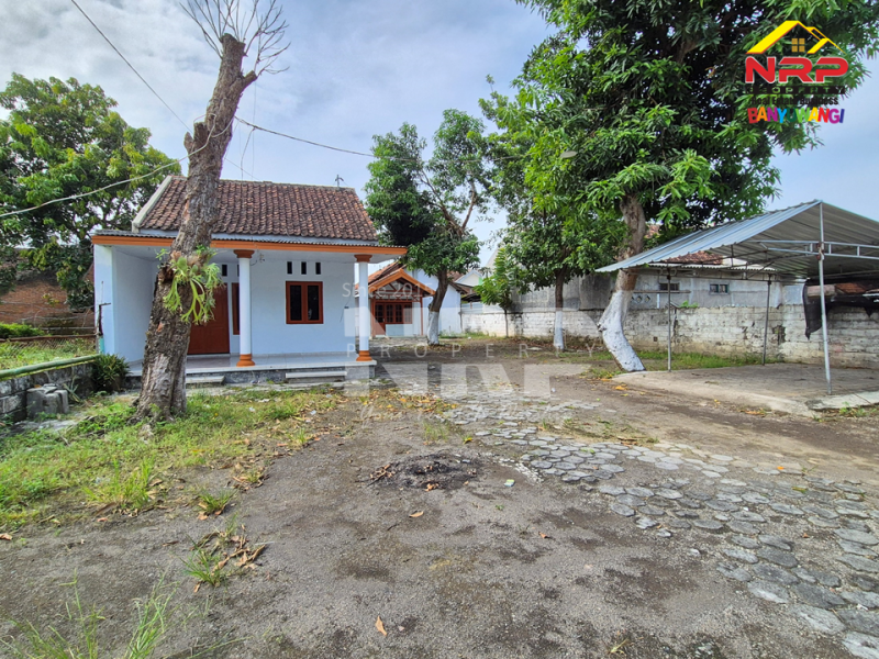 Disewakan 3 Unit Rumah + 1 Gudang di Depan SD Model Banyuwangi  Disewakan 3 Unit Rumah + 1 Gudang di Depan SD Model Banyuwangi  Disewakan 3 Unit Rumah + 1 Gudang di Depan SD Model Banyuwangi&nbsp;
Lokasi Sangat Strategis dekat dengan Fasilitas Pendidikan, Pusat Bisnis, dan NRP BANYUWANGI