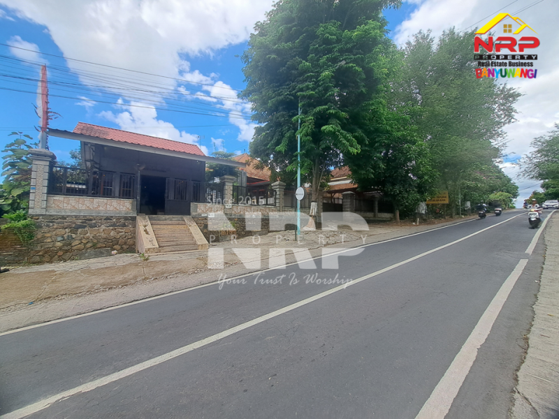 Disewakan Cafe/Resto siap pakai di Banjarsari - Banyuwangi  Disewakan Cafe/Resto siap pakai di Banjarsari - Banyuwangi  Disewakan Cafe/Resto siap pakai di Banjarsari - Banyuwangi&nbsp;
Jalan utama menuju kawah ijen, kawasan resto dan cafe.&nbsp;
Cocok untuk kamu yang ingin NRP BANYUWANGI