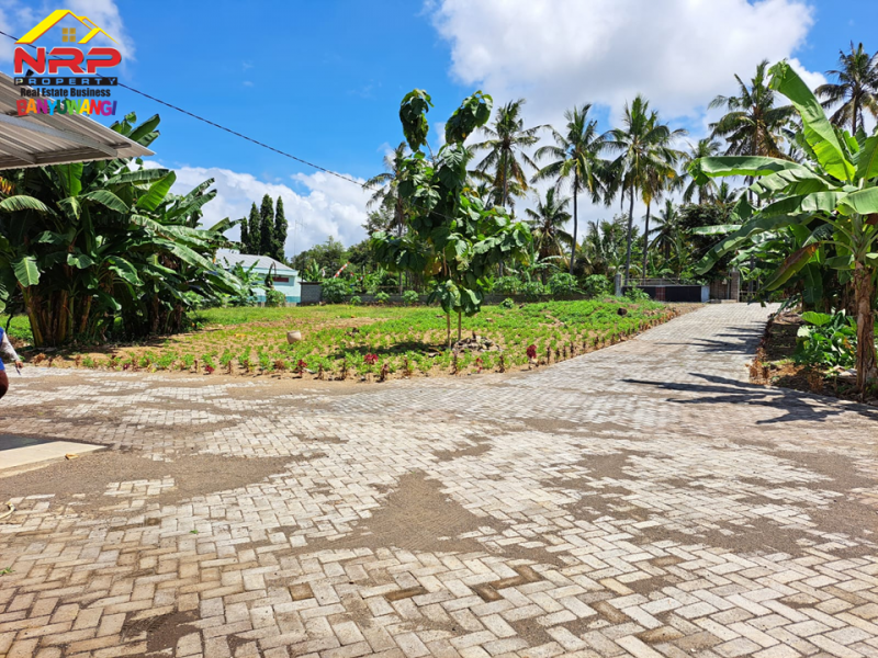Disewakan Gudang Baru di Desa Pancoran - Rogojampi  Disewakan Gudang Baru di Desa Pancoran - Rogojampi  Disewakan Gudang Baru di Desa Pancoran - Rogojampi
Sangat Cocok untuk Gudang atau Kantor Distributor. Dengan lokasi yang tidak jauh dari Jalan NRP BANYUWANGI