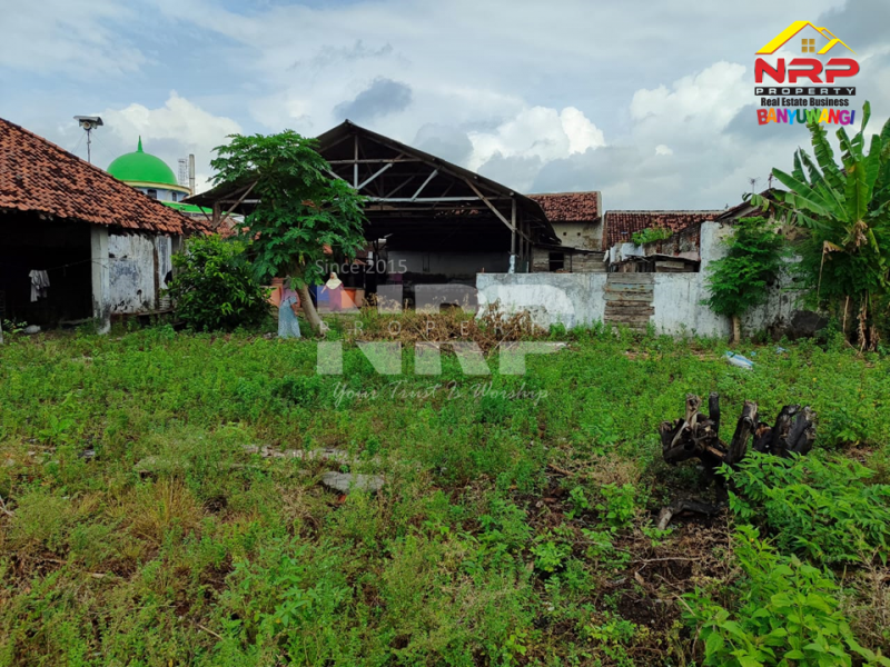 Disewakan Gudang Murah di Muncar Banyuwangi  Disewakan Gudang Murah di Muncar Banyuwangi  Disewakan Gudang Murah di Muncar Banyuwangi&nbsp;
Berbatasan dengan pantai, Akses jl. pickup, truk, mobil

Luas Tanah : +/- 1.500 M2
SHM

Fasilitas : NRP BANYUWANGI