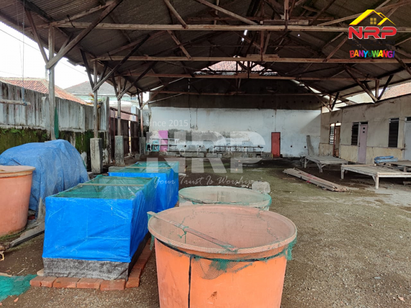 Disewakan Gudang Murah di Muncar Banyuwangi  Disewakan Gudang Murah di Muncar Banyuwangi  Disewakan Gudang Murah di Muncar Banyuwangi&nbsp;
Berbatasan dengan pantai, Akses jl. pickup, truk, mobil

Luas Tanah : +/- 1.500 M2
SHM

Fasilitas : NRP BANYUWANGI