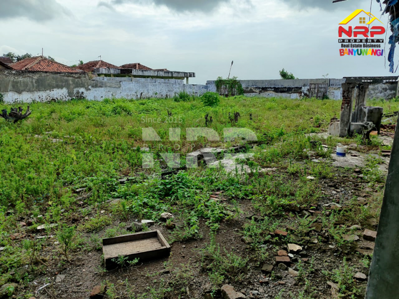 Disewakan Gudang Murah di Muncar Banyuwangi  Disewakan Gudang Murah di Muncar Banyuwangi  Disewakan Gudang Murah di Muncar Banyuwangi&nbsp;
Berbatasan dengan pantai, Akses jl. pickup, truk, mobil

Luas Tanah : +/- 1.500 M2
SHM

Fasilitas : NRP BANYUWANGI