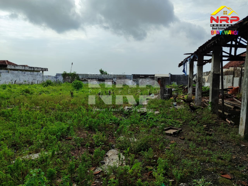 Disewakan Gudang Murah di Muncar Banyuwangi  Disewakan Gudang Murah di Muncar Banyuwangi  Disewakan Gudang Murah di Muncar Banyuwangi&nbsp;
Berbatasan dengan pantai, Akses jl. pickup, truk, mobil

Luas Tanah : +/- 1.500 M2
SHM

Fasilitas : NRP BANYUWANGI