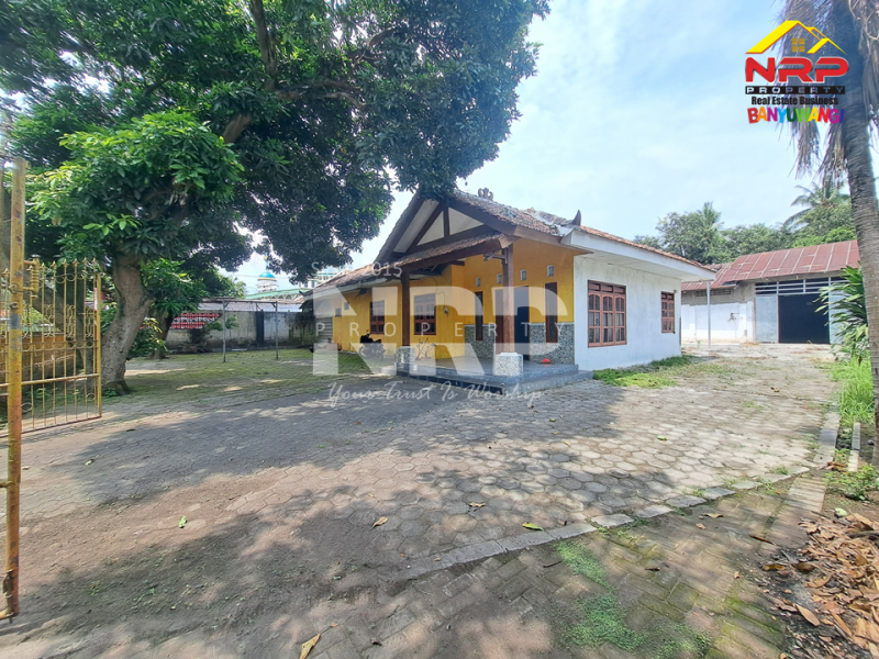 Disewakan rumah dan gudang sangat prospek di Tepi Jalan Gatot Subroto - Banyuwangi Disewakan rumah dan gudang sangat prospek di Tepi Jalan Gatot Subroto - Banyuwangi Disewakan rumah dan gudang sangat prospek di Tepi Jalan Gatot Subroto - Banyuwangi
Lokasi Sangat Strategis 0 Jalan Provinsi Banyuwangi
Sangat Cocok Untuk NRP BANYUWANGI