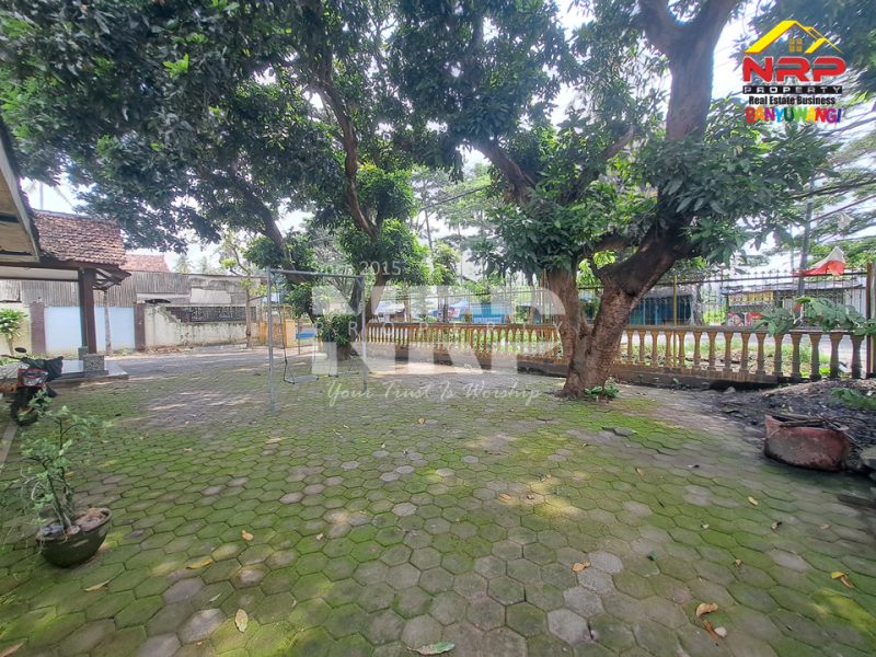 Disewakan rumah dan gudang sangat prospek di Tepi Jalan Gatot Subroto - Banyuwangi Disewakan rumah dan gudang sangat prospek di Tepi Jalan Gatot Subroto - Banyuwangi Disewakan rumah dan gudang sangat prospek di Tepi Jalan Gatot Subroto - Banyuwangi
Lokasi Sangat Strategis 0 Jalan Provinsi Banyuwangi
Sangat Cocok Untuk NRP BANYUWANGI