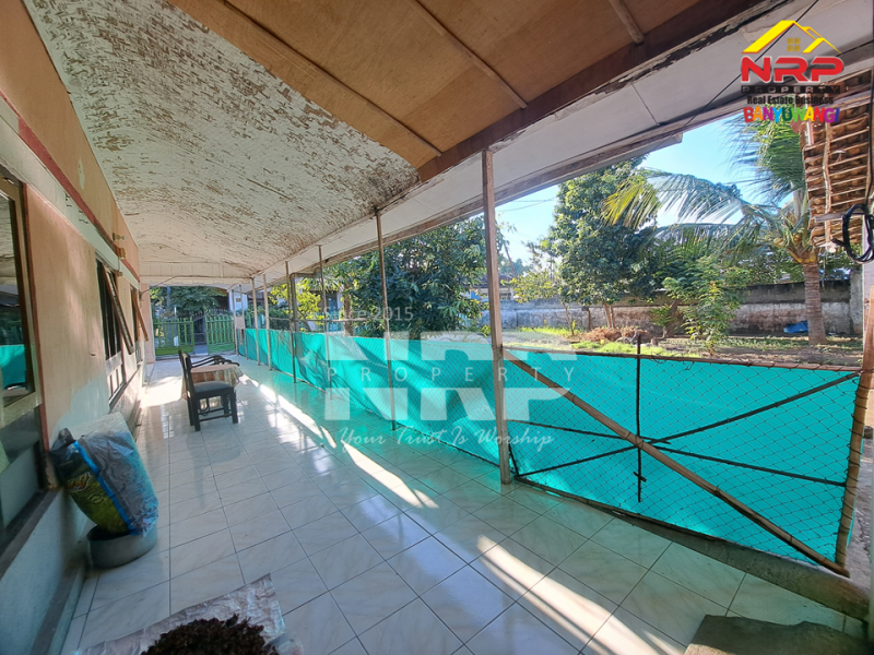 Disewakan rumah klasik luas di Banyuwangi Kota  Disewakan rumah klasik luas di Banyuwangi Kota  Disewakan rumah klasik luas di Banyuwangi Kota&nbsp;
Dekat dengan kawasan bisnis dan kantor pemerintahan Banyuwangi&nbsp;
Cocok untuk hunian pribadi, mess NRP BANYUWANGI