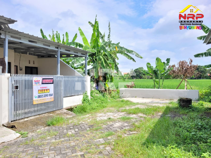 Disewakan Rumah Minimalis di Kebalenan - Banyuwangi  Disewakan Rumah Minimalis di Kebalenan - Banyuwangi  Disewakan Rumah Minimalis di Kebalenan - Banyuwangi&nbsp;
Hunian berada di kawasan perumahan, Lingkungan Asri, nyaman dan aman.&nbsp;

LT/LB : 60/36 m2
SHM NRP BANYUWANGI