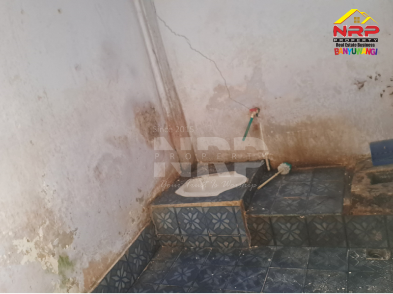Disewakan Rumah Minimalis di Kertosari - Banyuwangi  Disewakan rumah banyuwangi kota murah  Disewakan Rumah Minimalis di Kertosari - Banyuwangi&nbsp;
Dekat Fasilitas Pendidikan, Pebelanjaan, pertokoan dan sentra kuliner,

LT/LB : 72/55 M2 NRP BANYUWANGI