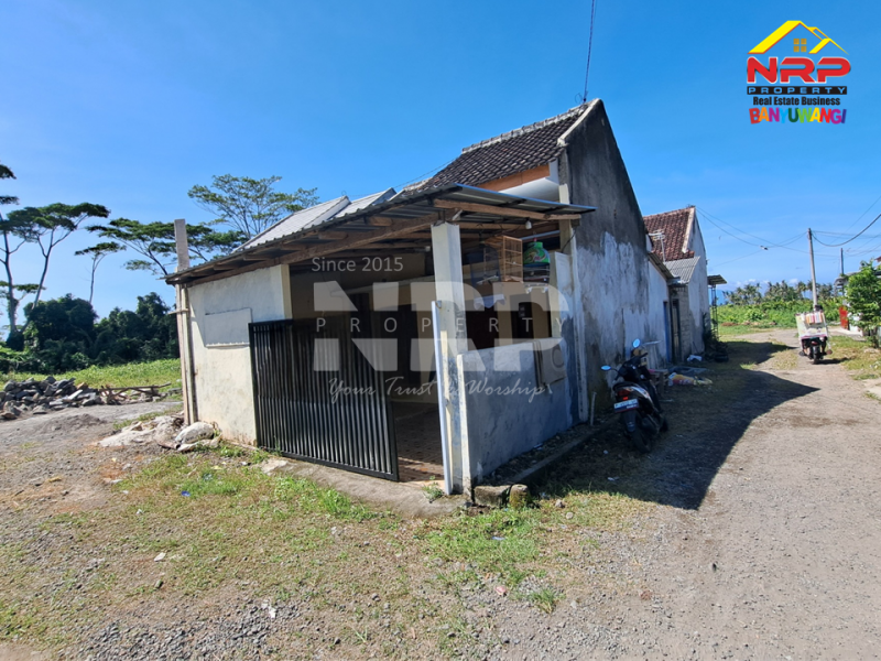 Disewakan Rumah Minimalis di Kertosari - Banyuwangi  Disewakan rumah banyuwangi kota murah  Disewakan Rumah Minimalis di Kertosari - Banyuwangi&nbsp;
Dekat Fasilitas Pendidikan, Pebelanjaan, pertokoan dan sentra kuliner,

LT/LB : 72/55 M2 NRP BANYUWANGI