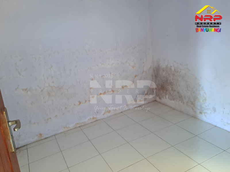 Disewakan Rumah Minimalis di Kertosari - Banyuwangi  Disewakan rumah banyuwangi kota murah  Disewakan Rumah Minimalis di Kertosari - Banyuwangi&nbsp;
Dekat Fasilitas Pendidikan, Pebelanjaan, pertokoan dan sentra kuliner,

LT/LB : 72/55 M2 NRP BANYUWANGI