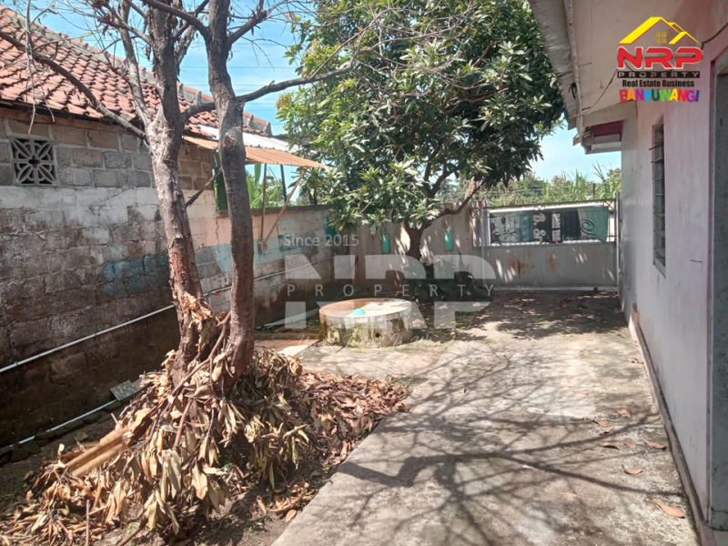 Disewakan Rumah Murah di Giri - Banyuwangi  Disewakan Rumah Murah di Giri - Banyuwangi  Disewakan Rumah Murah di Giri - Banyuwangi&nbsp;
Kawasan perumahan, Lokasinya juga mudah diakses&nbsp;
Terletak 50 Meter dari Jalan Utama Raden Wijaya - NRP BANYUWANGI
