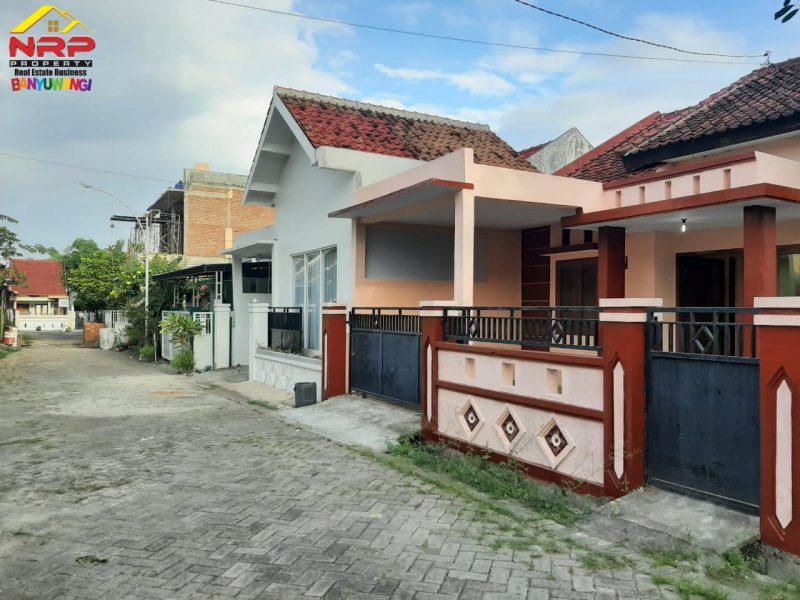 Disewakan Rumah Pojok dengan Halaman Luas di Perum Brawijaya Regency  Disewakan Rumah Pojok dengan Halaman Luas di Perum Brawijaya Regency Banyuwangi Disewakan Rumah Pojok dengan Halaman Luas di Perum Brawijaya Regency Banyuwangi. Hunian Nyaman di Pusat Kota Banyuwangi. Akses 0 Jalan Provinsi "Jl. NRP BANYUWANGI