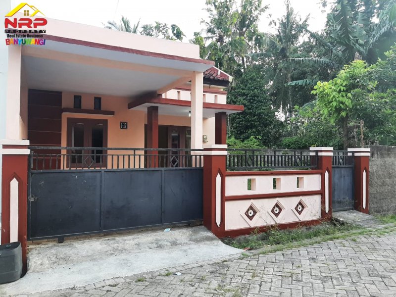 Disewakan Rumah Pojok dengan Halaman Luas di Perum Brawijaya Regency  Disewakan Rumah Pojok dengan Halaman Luas di Perum Brawijaya Regency Banyuwangi Disewakan Rumah Pojok dengan Halaman Luas di Perum Brawijaya Regency Banyuwangi. Hunian Nyaman di Pusat Kota Banyuwangi. Akses 0 Jalan Provinsi "Jl. NRP BANYUWANGI