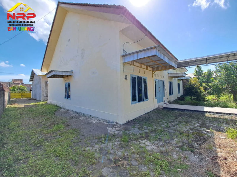 Disewakan Rumah + Ruko 4 Plong Murah Tepi Jl. Blimbingsari - Rogojampi  Disewakan Rumah + Ruko 4 Plong Murah Tepi Jl. Blimbingsari - Rogojampi  Disewakan Rumah + Ruko 4 Plong Murah Tepi Jl. Blimbingsari - Rogojampi&nbsp;
Cocok untuk hunian dan ruang usaha, gudang, kantor atau ruang usaha NRP BANYUWANGI