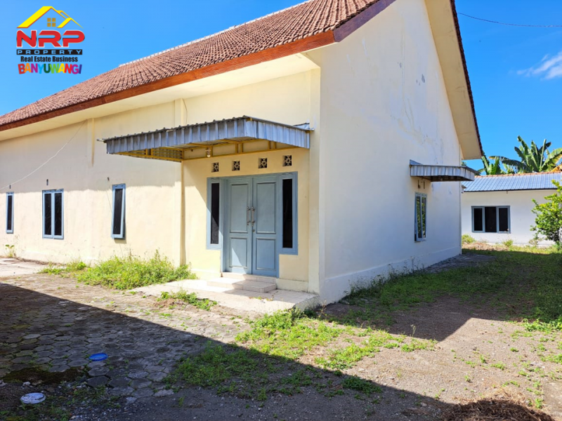 Disewakan Rumah + Ruko 4 Plong Murah Tepi Jl. Blimbingsari - Rogojampi  Disewakan Rumah + Ruko 4 Plong Murah Tepi Jl. Blimbingsari - Rogojampi  Disewakan Rumah + Ruko 4 Plong Murah Tepi Jl. Blimbingsari - Rogojampi&nbsp;
Cocok untuk hunian dan ruang usaha, gudang, kantor atau ruang usaha NRP BANYUWANGI